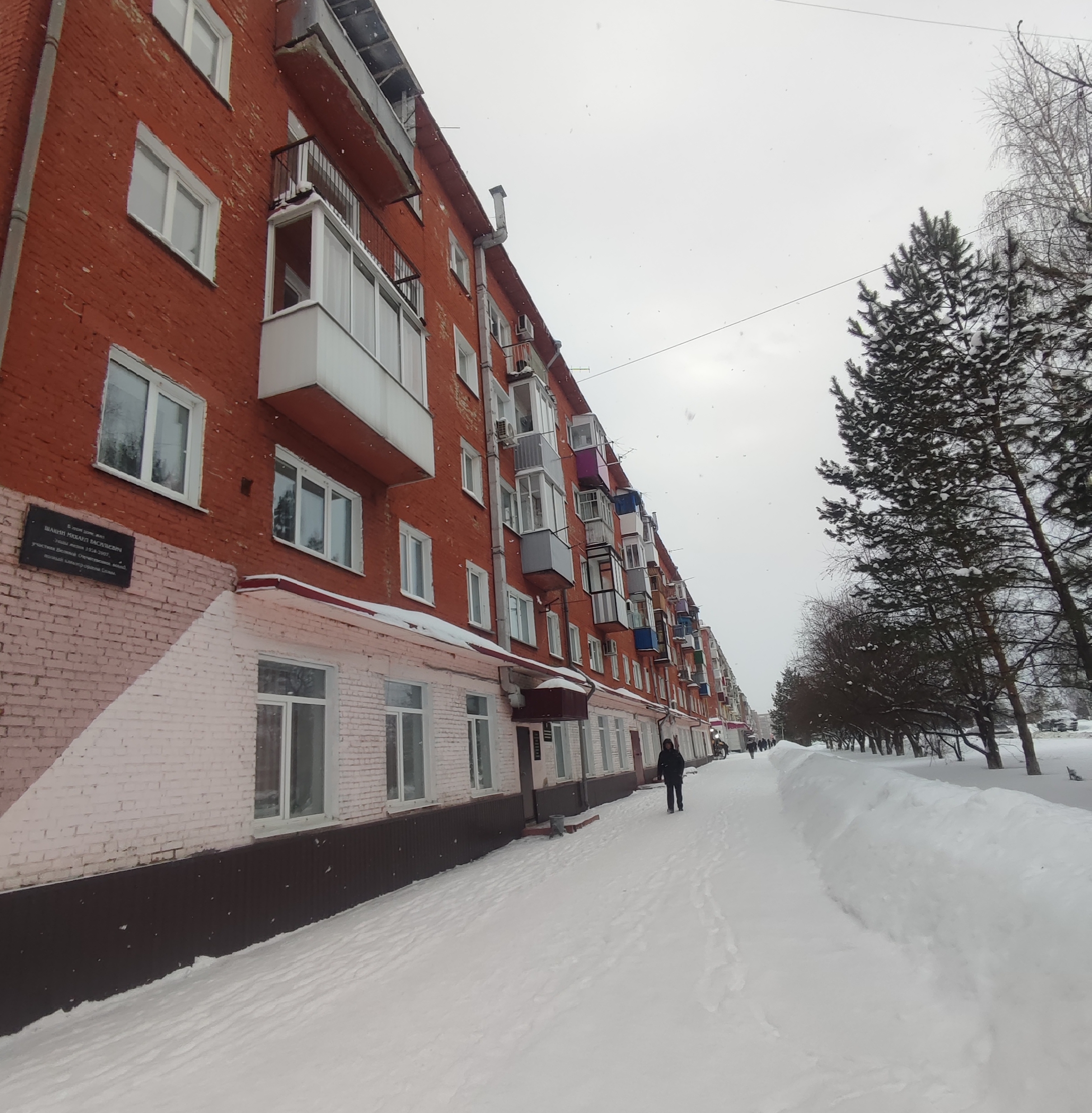 Фото библиографа Горюновой Т.И.,2025